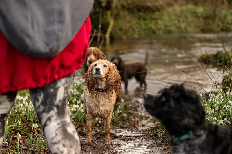 Max, Alfie & Friends (19 of 22)
