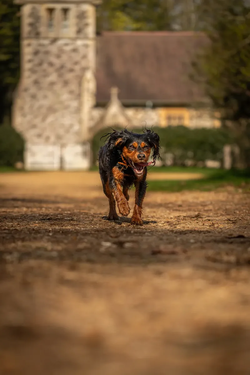 Maya (6 of 29)