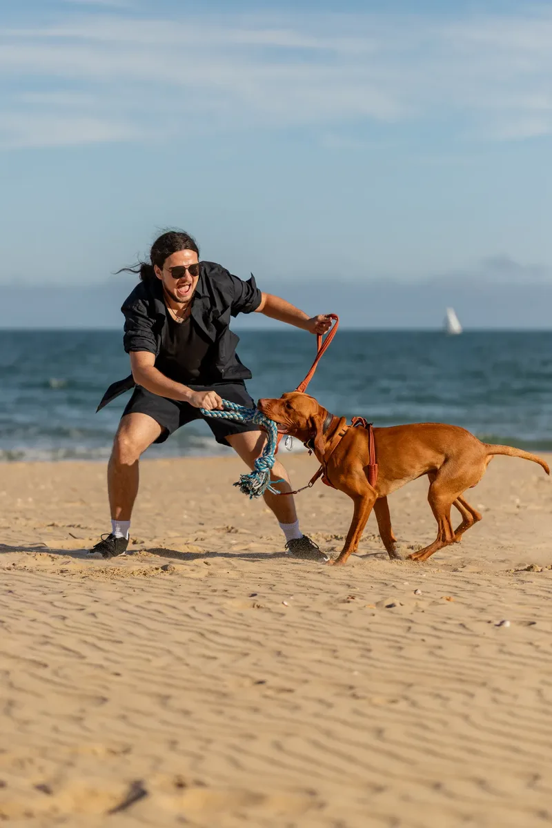 Dorset Dog Trainer – Branksome Chine (13 of 52)