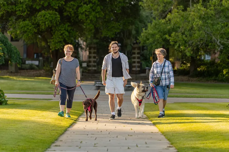 Dorset Dog Trainer – Poole Park (51 of 59)