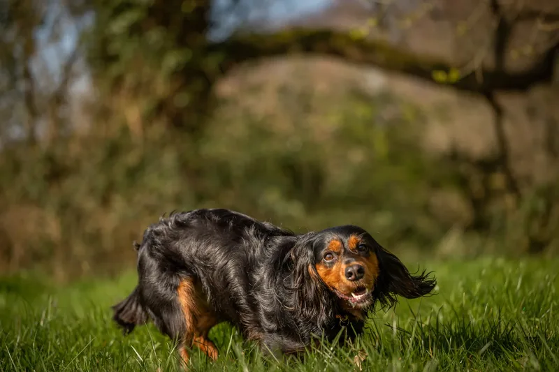 Maya (27 of 29)