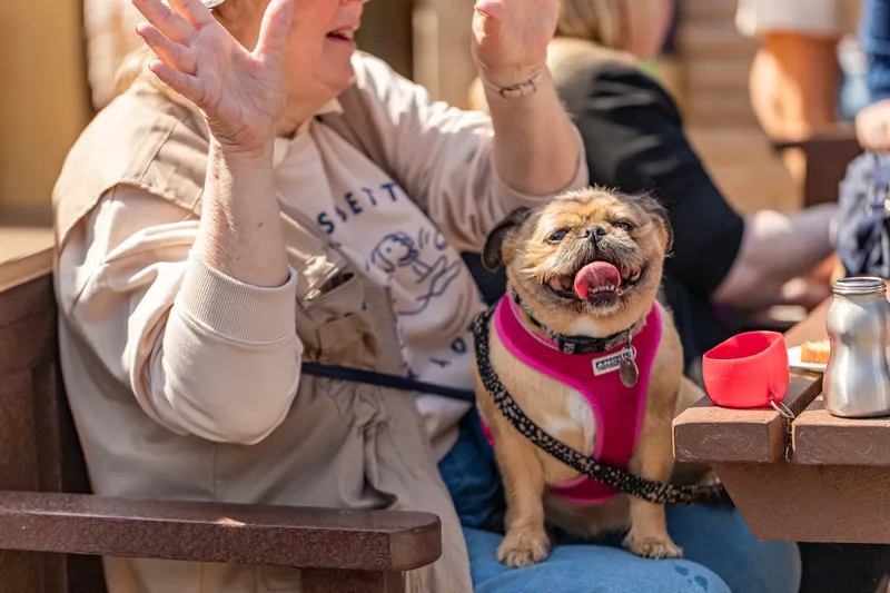 Sunshine, Smiles & Wagging Tails at Cherry Tree Nurseries (24 of 24)