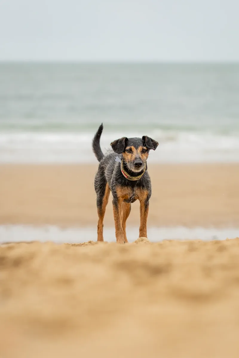 Spring Beach Mini Sessions (98 of 105)