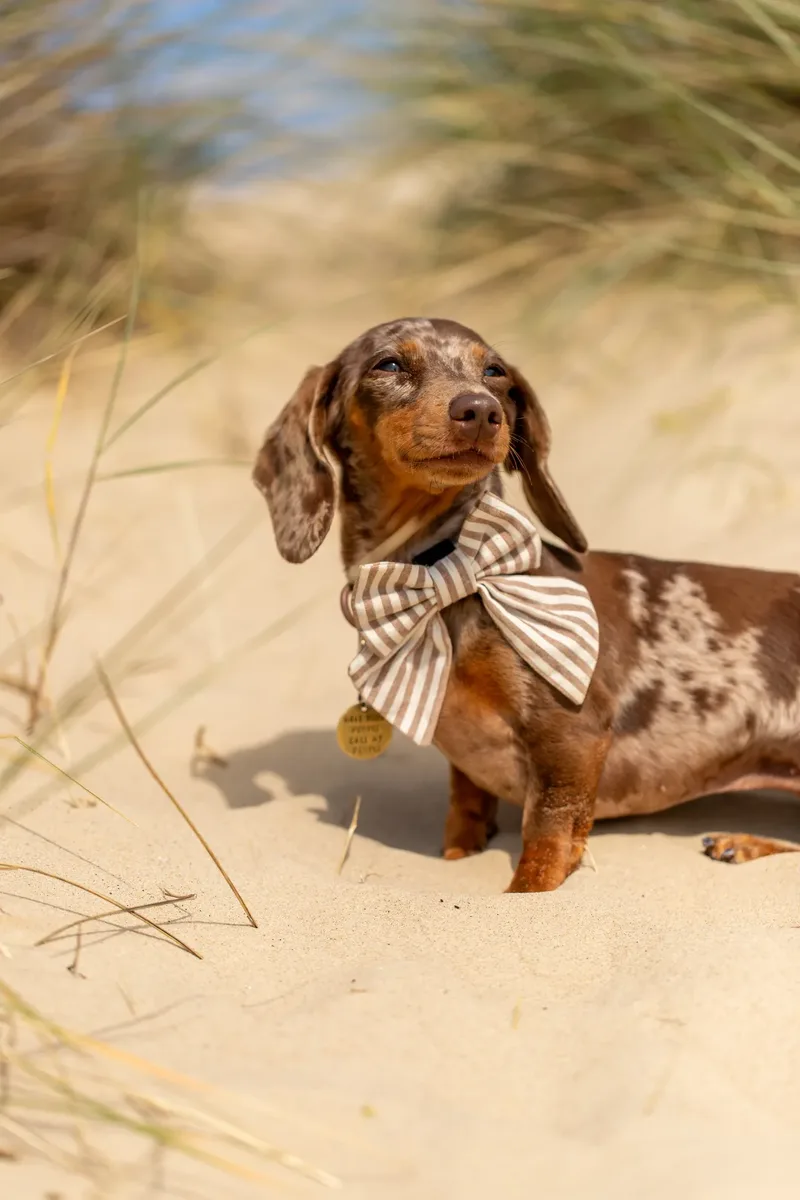 Margot at the beach (1 of 45)