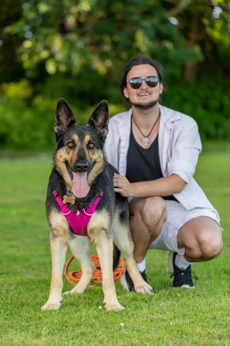 Dorset Dog Trainer – Poole Park (38 of 59)