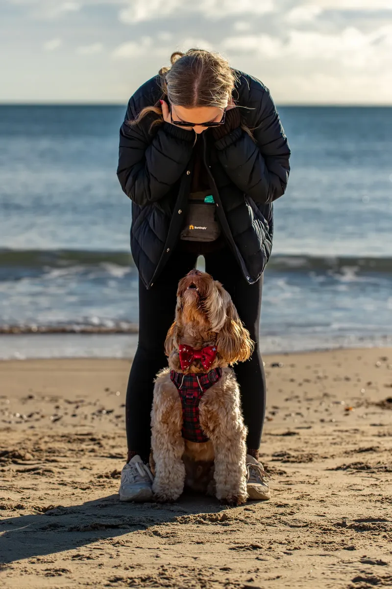 Toby Xmas beach shoot! (16 of 24)