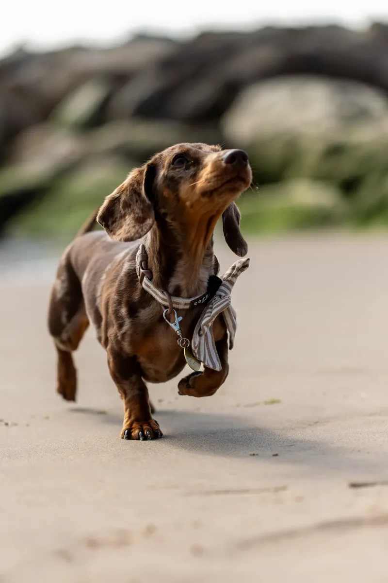 Margot at the beach (8 of 45)