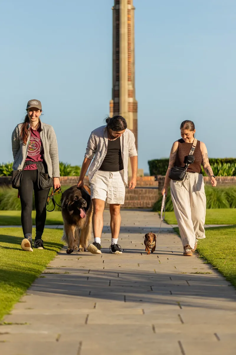 Dorset Dog Trainer – Poole Park (45 of 59)