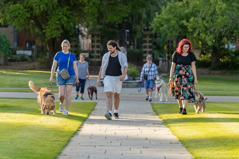 Dorset Dog Trainer – Poole Park (50 of 59)