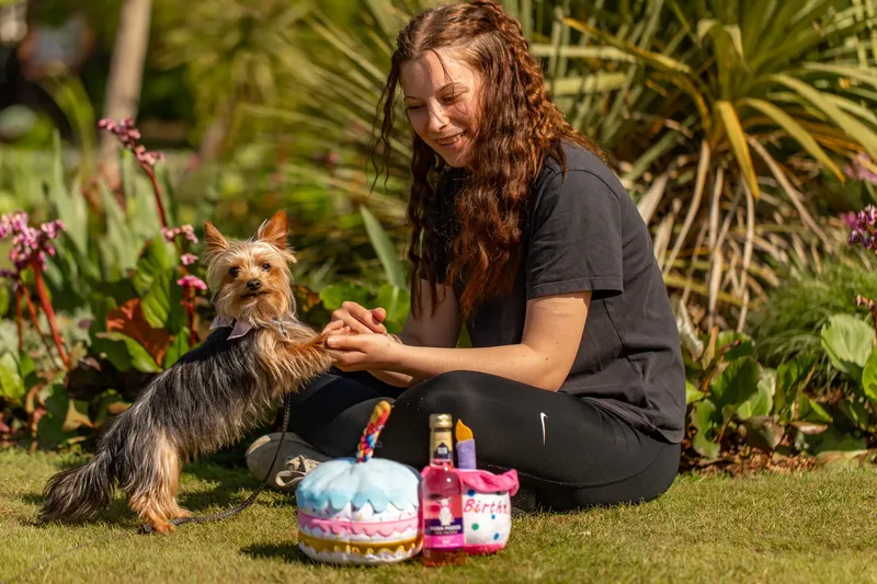 Willow – the mini yorkie (9 of 24)