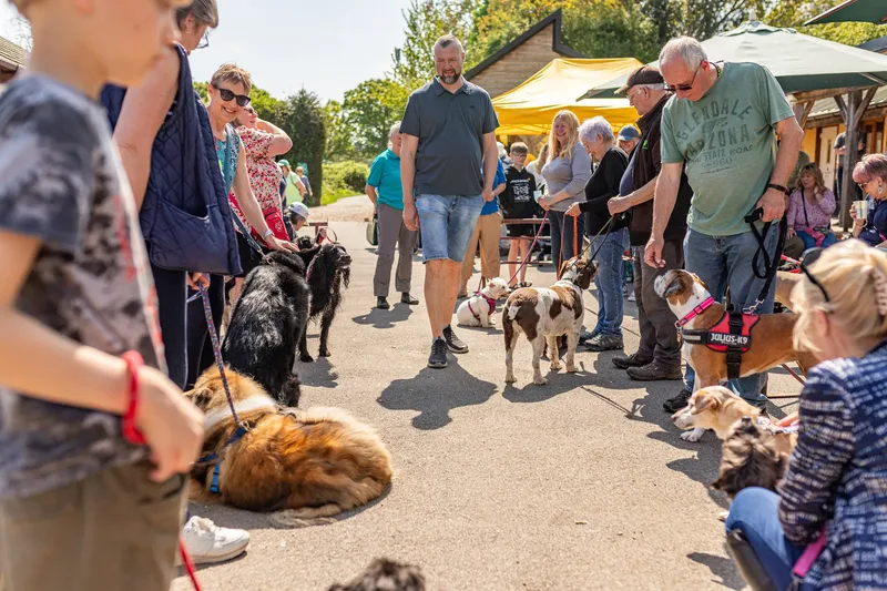 Sunshine, Smiles & Wagging Tails at Cherry Tree Nurseries (21 of 24)