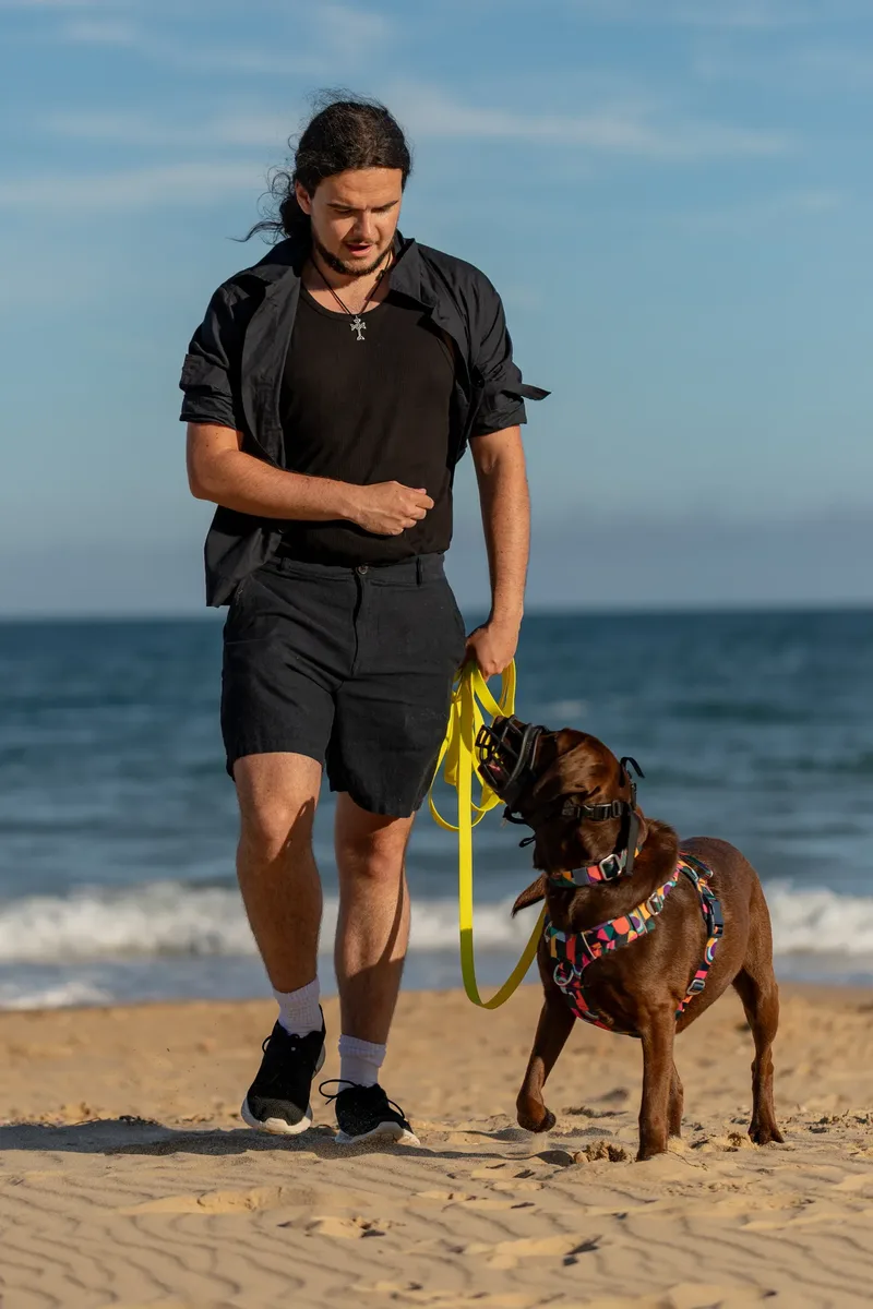 Dorset Dog Trainer – Branksome Chine (24 of 52)
