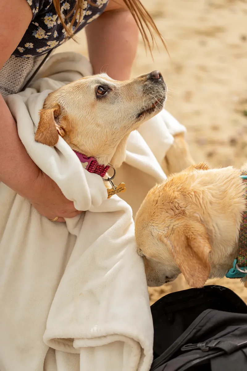 Mollie & Lola (8 of 32)