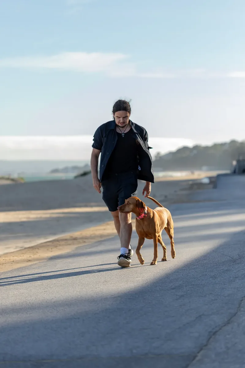 Dorset Dog Trainer – Branksome Chine (18 of 52)
