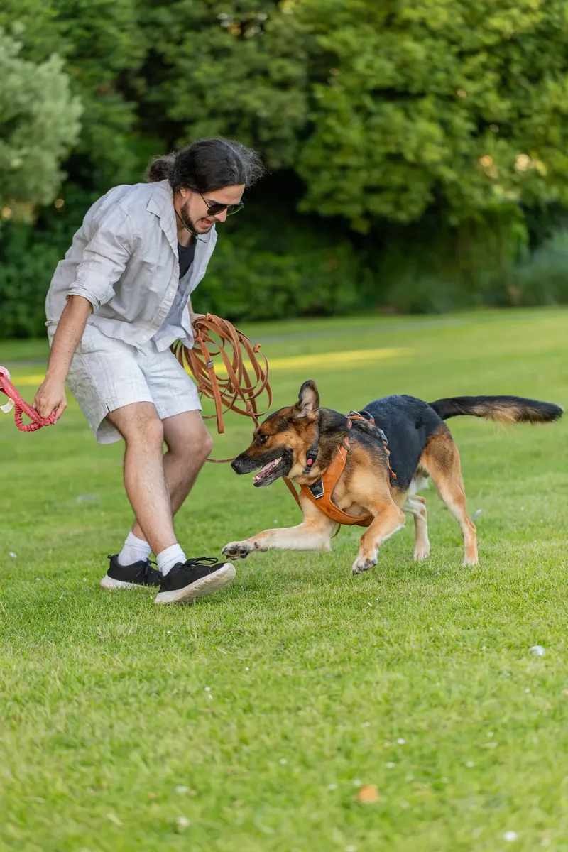 Dorset Dog Trainer – Poole Park (40 of 59)