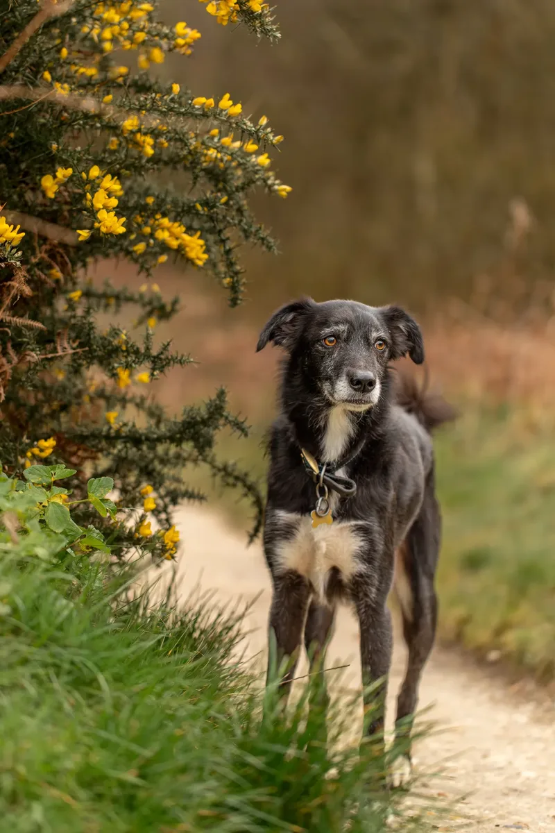 Olive (33 of 43)