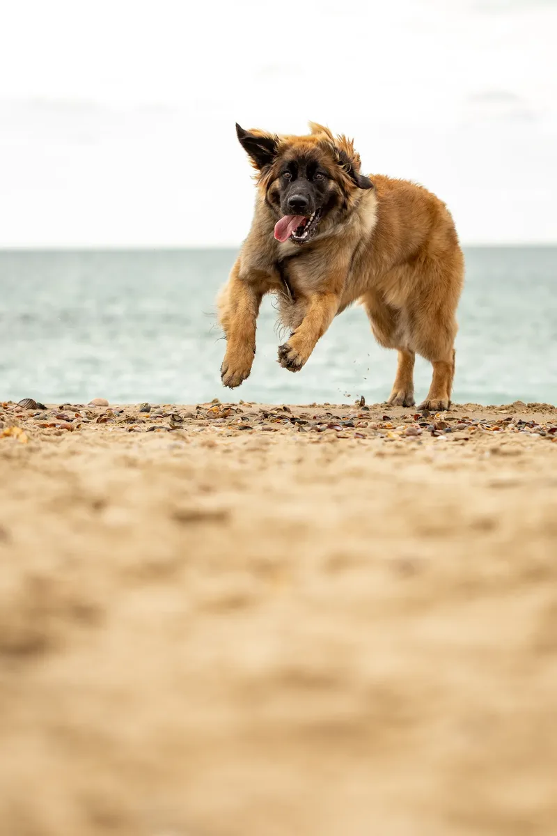 Spring Beach Mini Sessions (18 of 105)