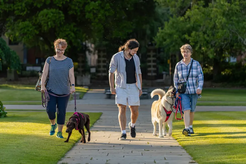 Dorset Dog Trainer – Poole Park (52 of 59)