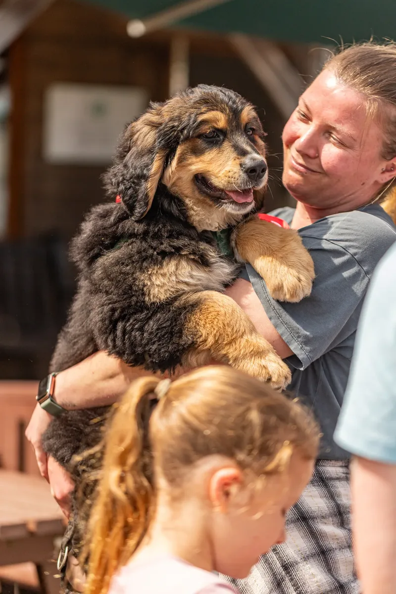 Sunshine, Smiles & Wagging Tails at Cherry Tree Nurseries (2 of 24)