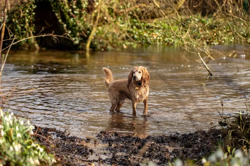 Max, Alfie & Friends (16 of 22)