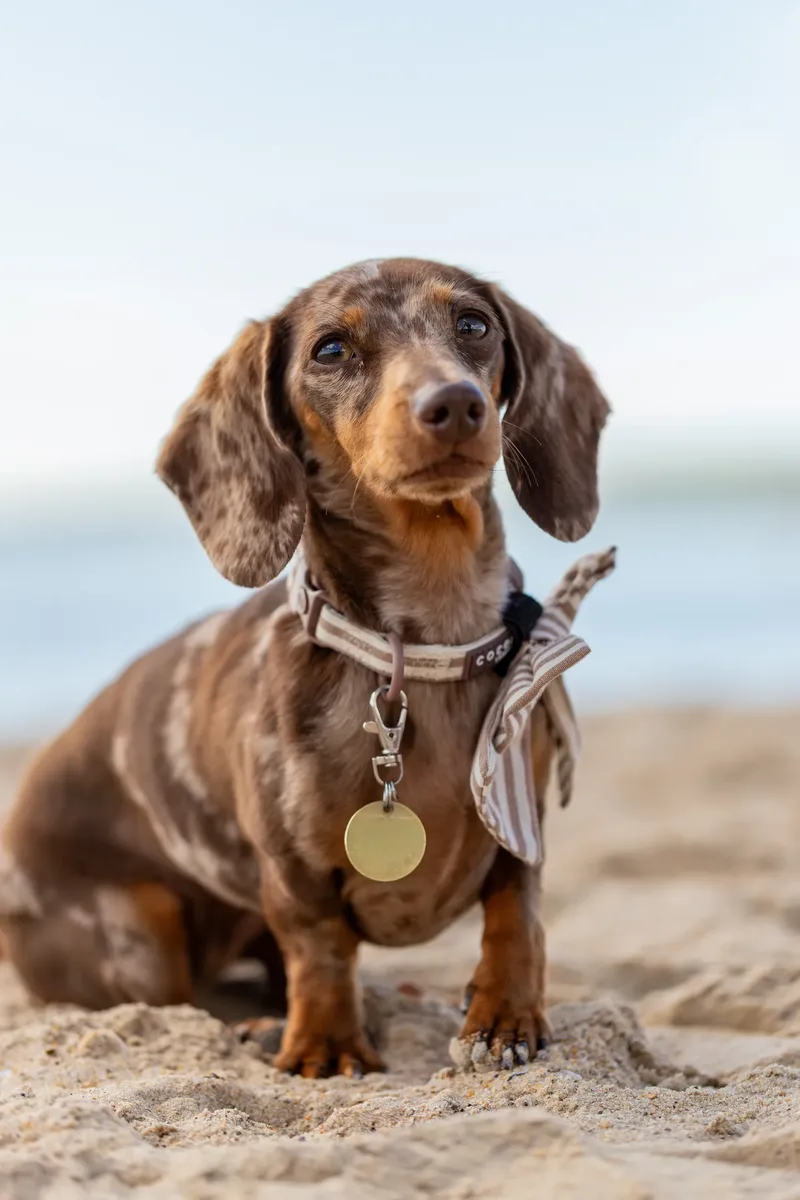 Margot at the beach (15 of 45)