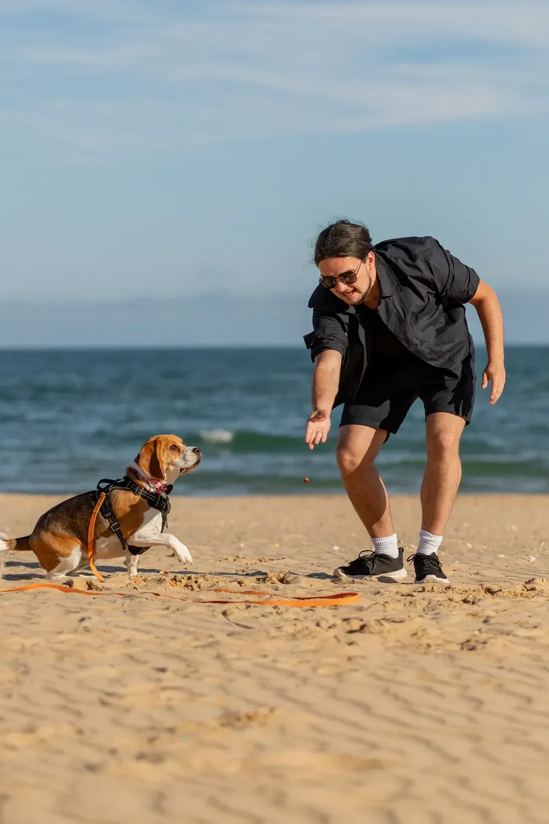 Dorset Dog Trainer – Branksome Chine (5 of 52)
