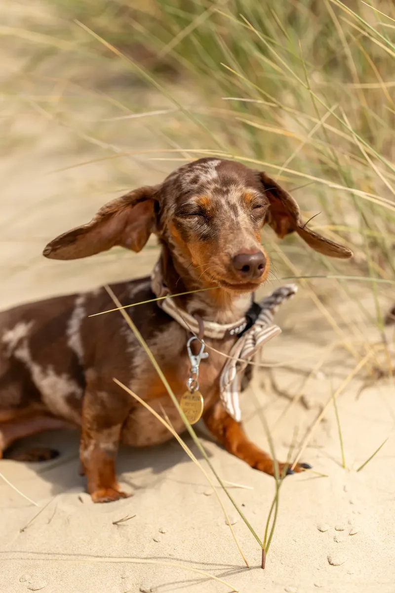 Margot at the beach (9 of 45)