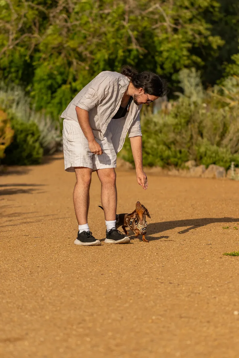 Dorset Dog Trainer – Poole Park (13 of 59)