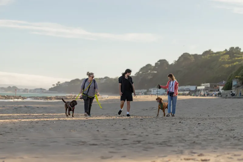 Dorset Dog Trainer – Branksome Chine (32 of 52)
