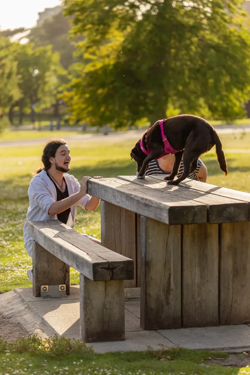 Dorset Dog Trainer – Poole Park (20 of 59)