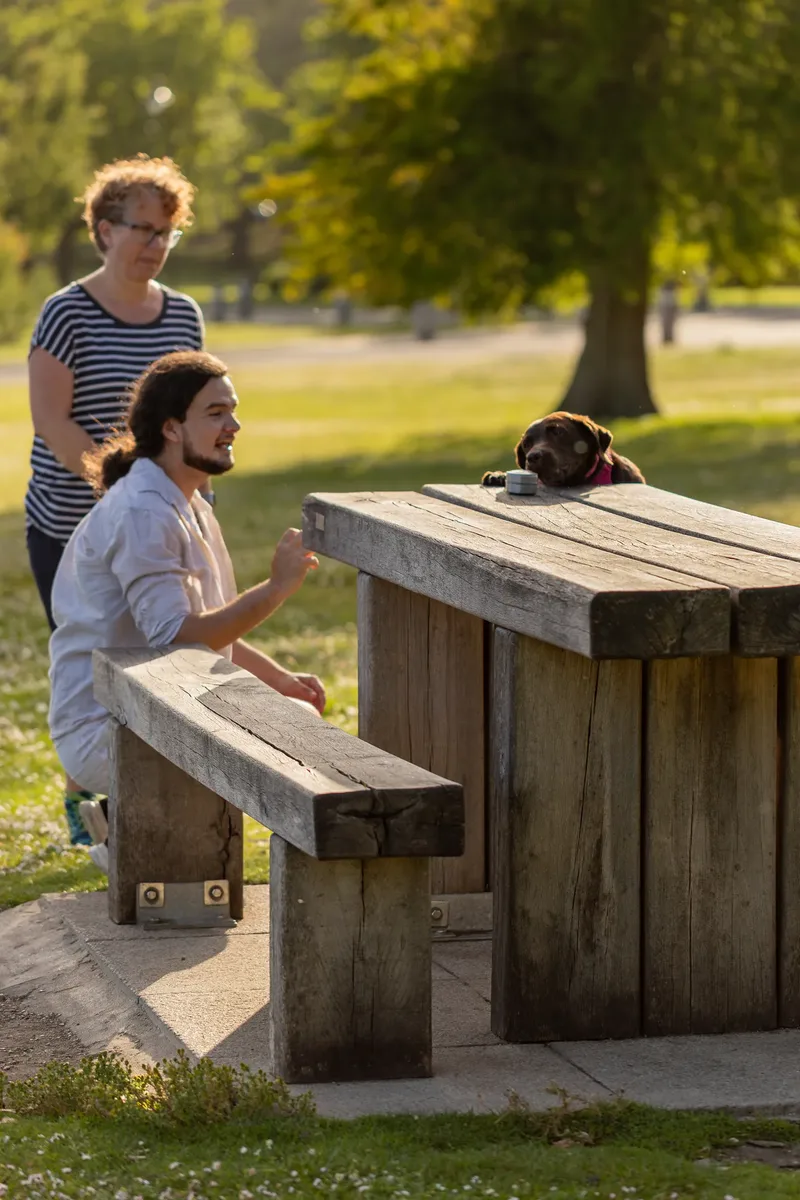 Dorset Dog Trainer – Poole Park (21 of 59)