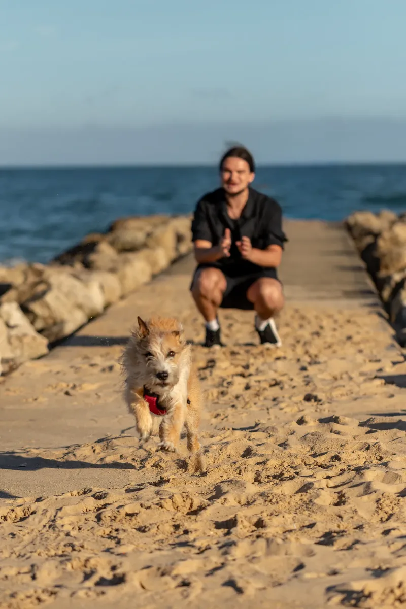 Dorset Dog Trainer – Branksome Chine (41 of 52)
