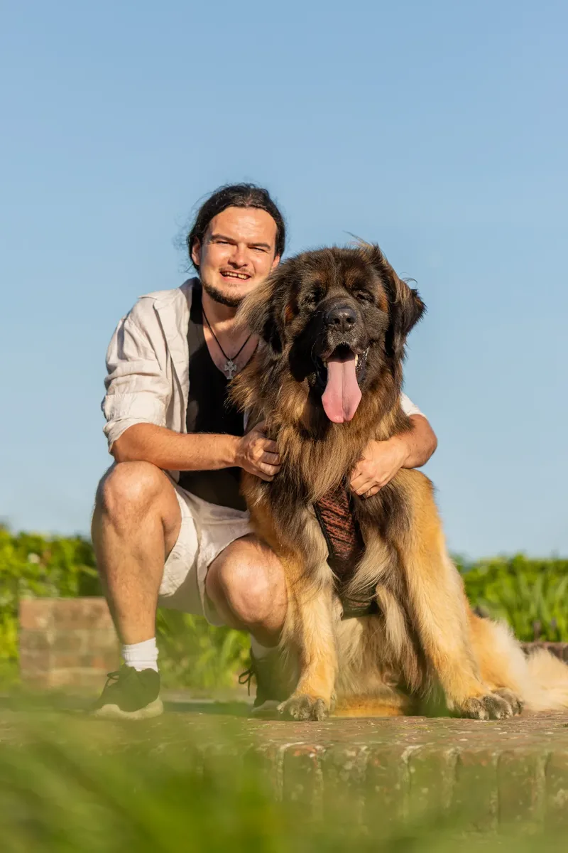 Dorset Dog Trainer – Poole Park (29 of 59)