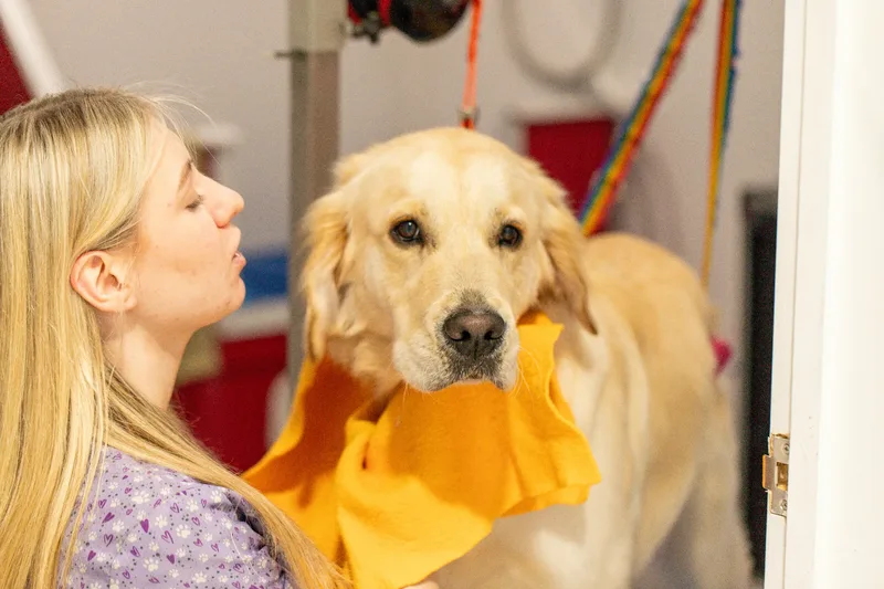 Doggie Styles Dog Groomers (12 of 13)