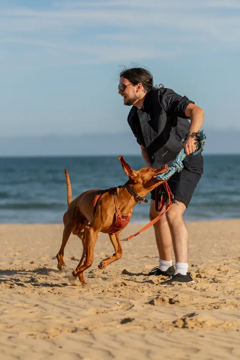 Dorset Dog Trainer – Branksome Chine (15 of 52)