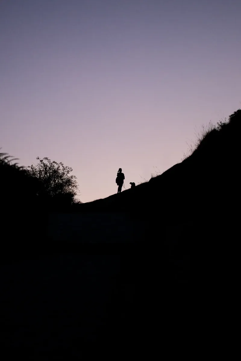 The Wild Bear Club – Sunset Walks (3 of 7)
