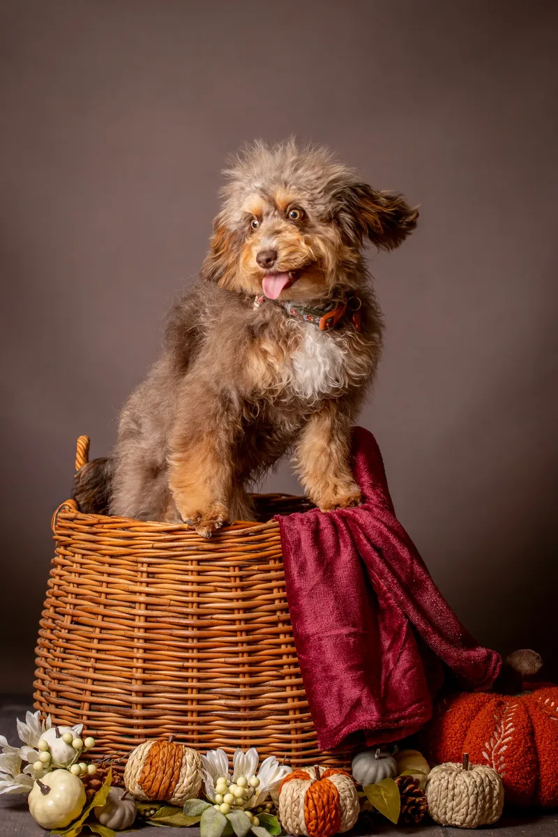 Bark 2 School 2025 (2 of 24)