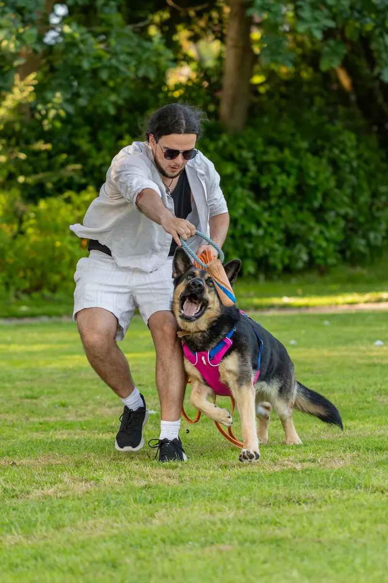 Dorset Dog Trainer – Poole Park (35 of 59)