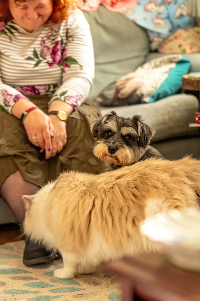 Elliot and his cats (16 of 24)