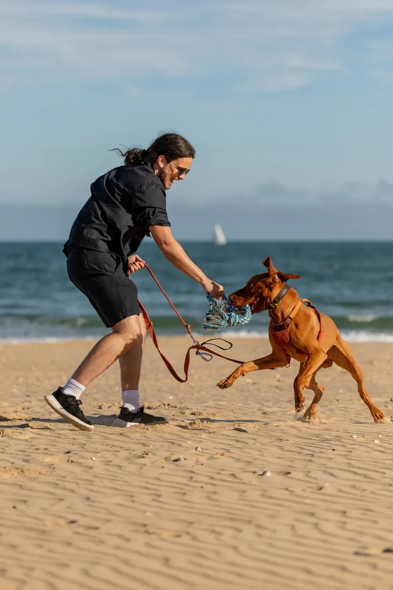 Dorset Dog Trainer – Branksome Chine (11 of 52)