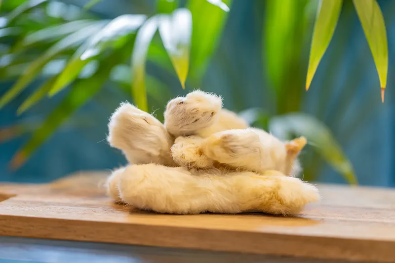 Leannes Pet Care Services – Products (2 of 37)