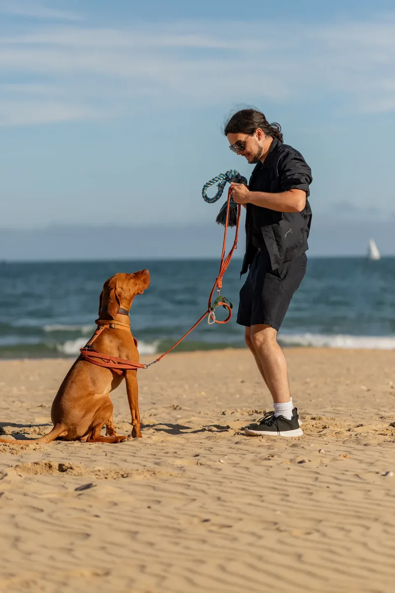 Dorset Dog Trainer – Branksome Chine (14 of 52)