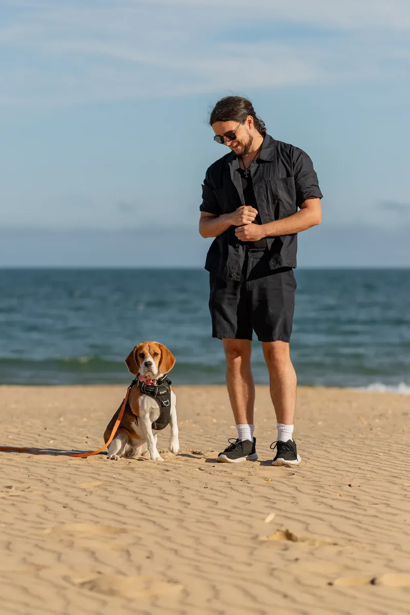 Dorset Dog Trainer – Branksome Chine (2 of 52)