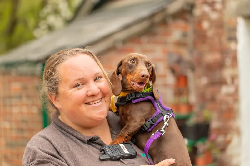 Muttley’s Doggy Day Care – Open Day Fun! 🐾 (15 of 24)