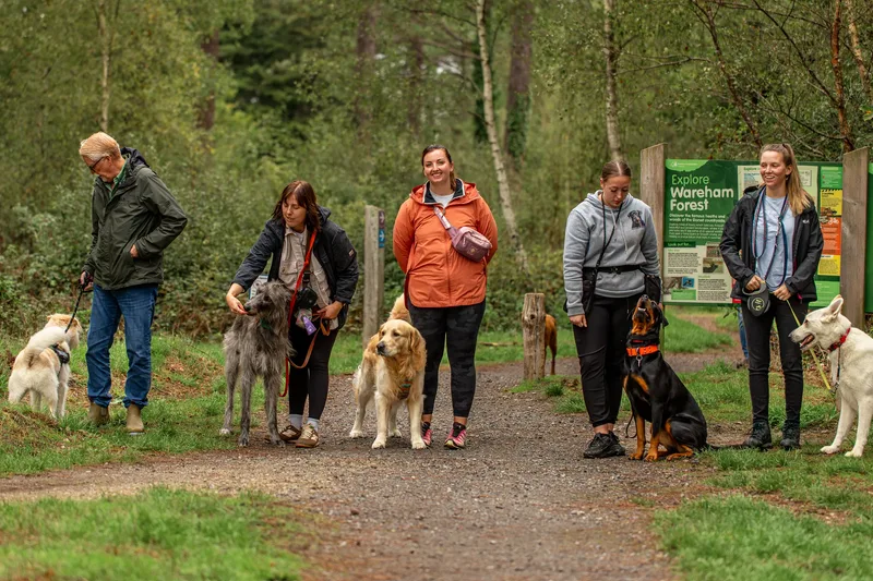The Wild Bear Club – Wareham Forest