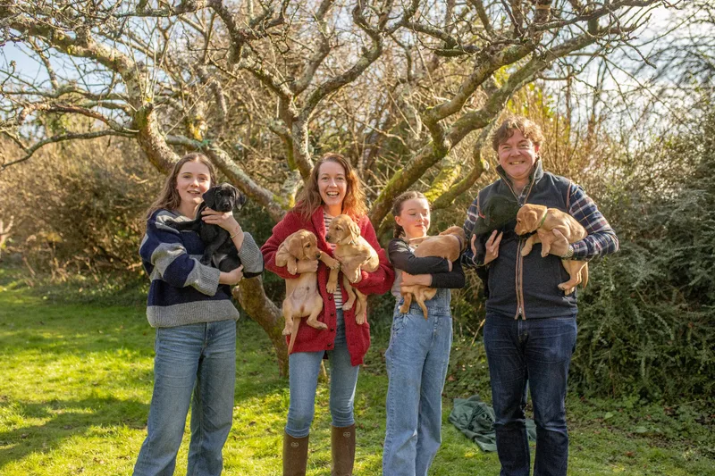 Labrador Puppies (6 of 19)