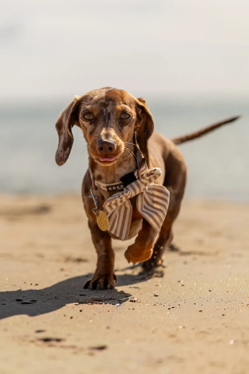 Margot at the beach (33 of 45)