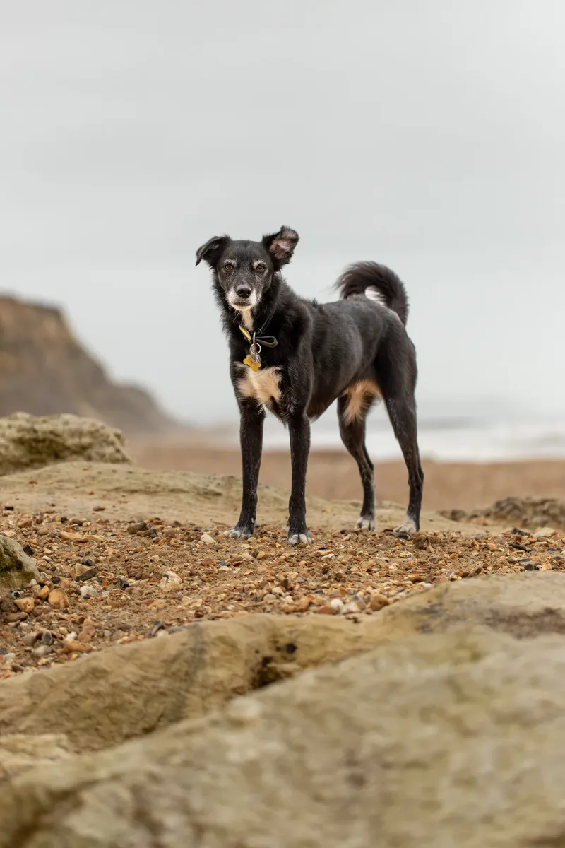 Olive (8 of 43)