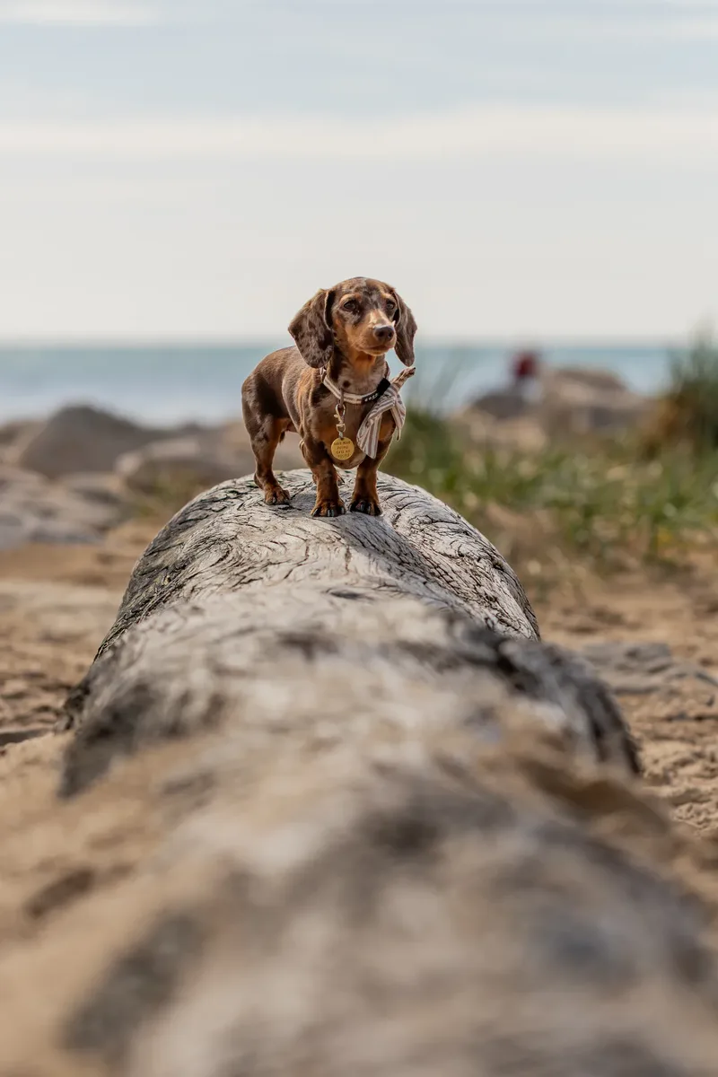Margot at the beach (5 of 45)