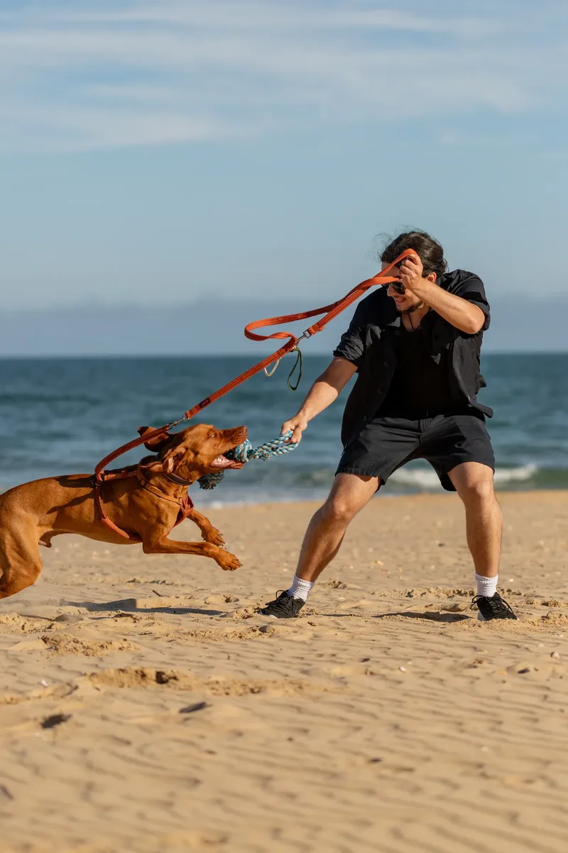 Dorset Dog Trainer – Branksome Chine (12 of 52)